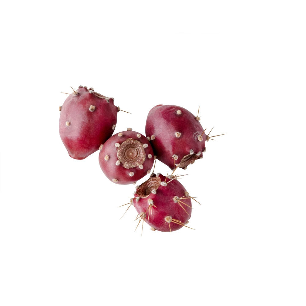 Prickly Pear Seed Oil