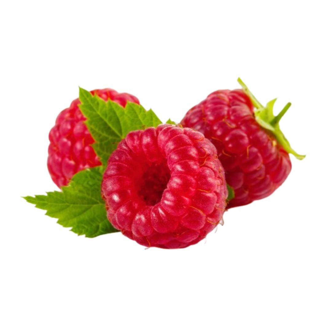 Raspberry Seed Oil
