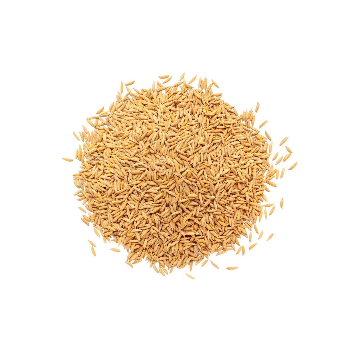 Rice bran oil