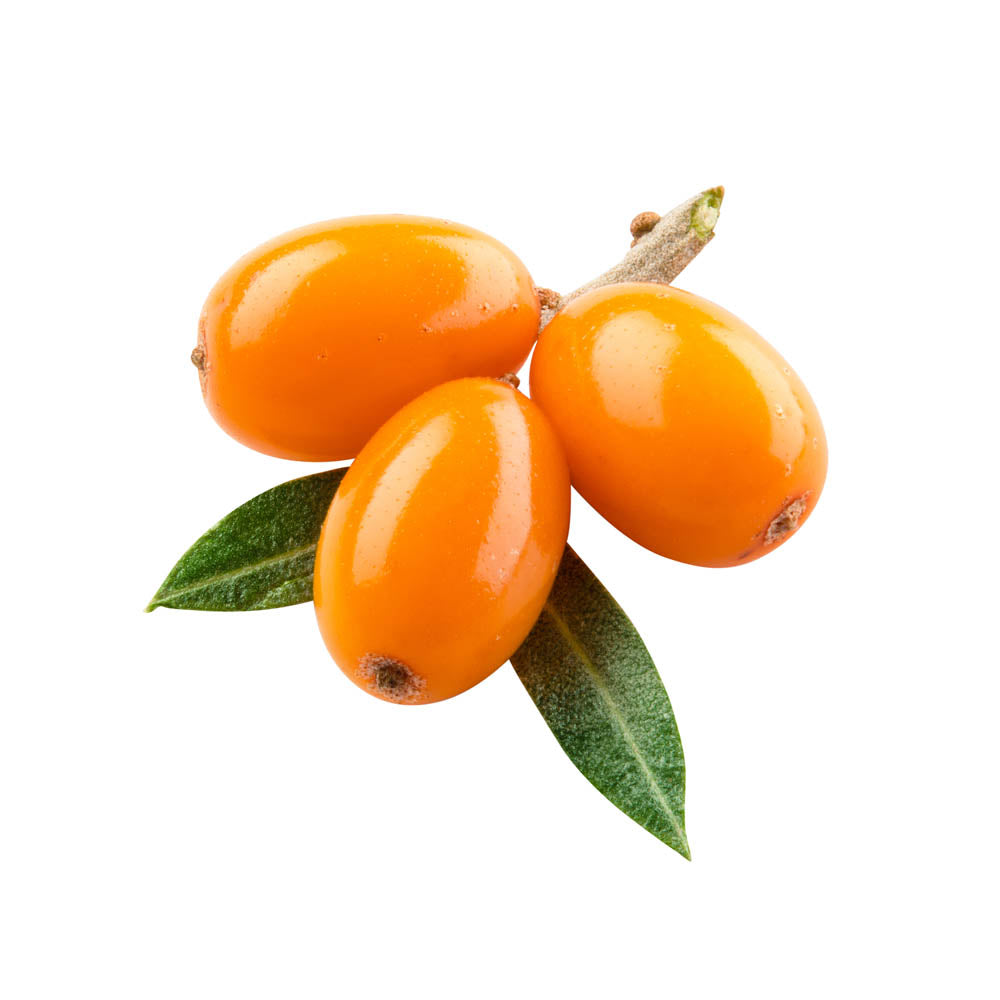 Sea buckthorn